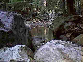 Glade Run (IMAGE)