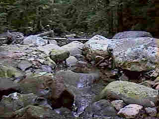 Glade Run (IMAGE)