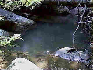 Glade Run (IMAGE)