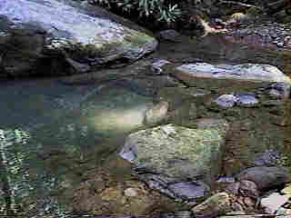 Glade Run (IMAGE)