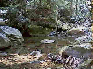 Glade Run (IMAGE)