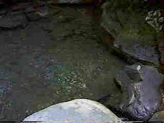 Glade Run (IMAGE)