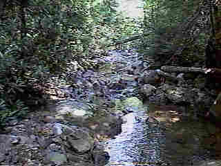 Glade Run (IMAGE)