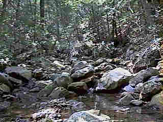 Glade Run (IMAGE)