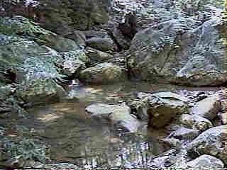 Glade Run (IMAGE)