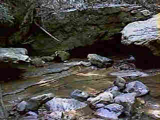 Glade Run (IMAGE)