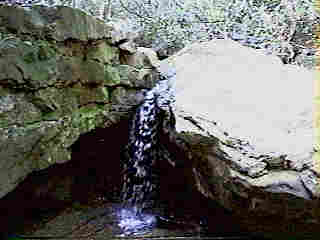 Glade Run (IMAGE)