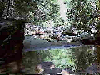 Glade Run (IMAGE)