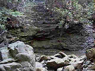 Glade Run (IMAGE)