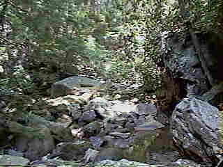 Glade Run (IMAGE)
