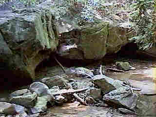 Glade Run (IMAGE)