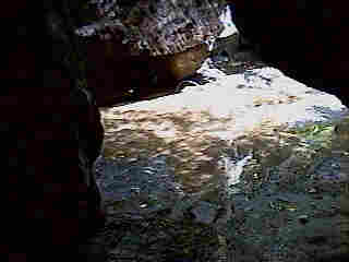 Glade Run (IMAGE)