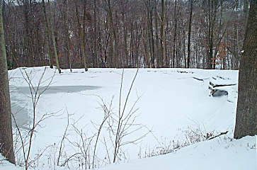 Click Here For A Larger Image Of Private Pond
