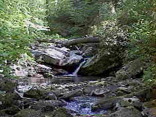 Glade Run (IMAGE)