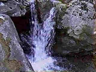 Glade Run (IMAGE)