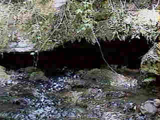Glade Run (IMAGE)
