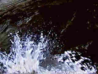 Glade Run (IMAGE)