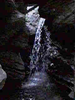 Glade Run (IMAGE)