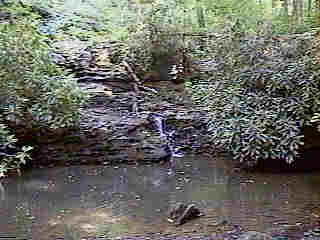 Glade Run (IMAGE)