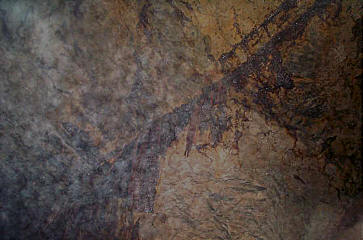 Click Here For A Larger Image Of Stalagtites And Fog