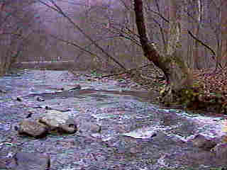 Downstream from Tucker Confluence IMAGE