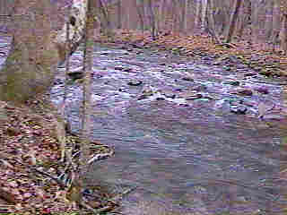 Sychamore Hole at Tucker IMAGE