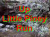 Up Little Piney Run BUTTON
